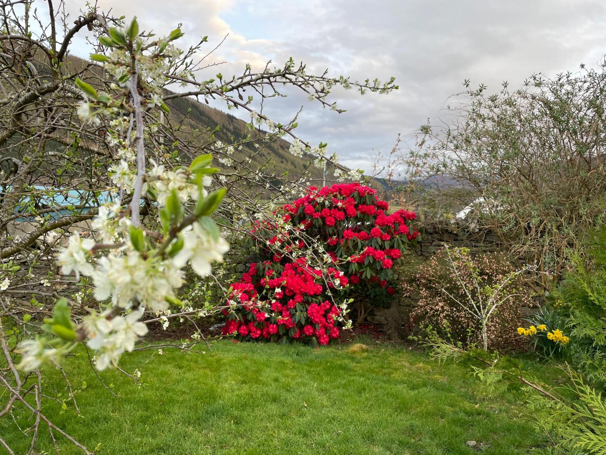 Clachan Garden B&B Garve Dış mekan fotoğraf